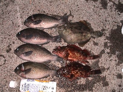 ������n��