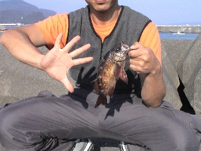 �����ȃT�C�Y