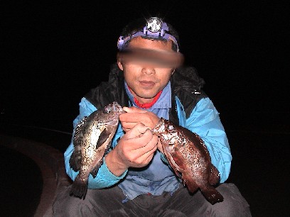 ���o���f�d�s�I