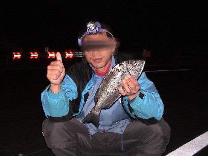 ����f�d�s�I