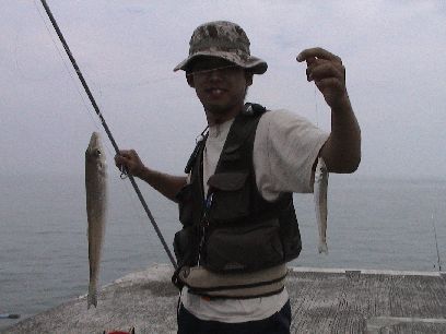 �V���M�X�f�d�s�̐}