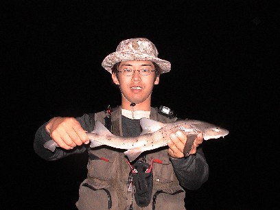 �����T��