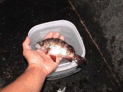 �{�������o��