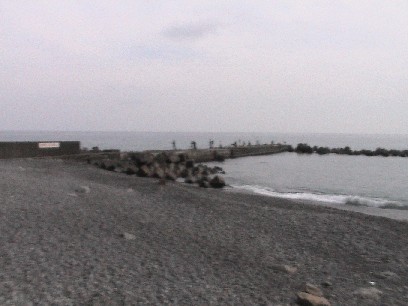 �v�X�̕l����