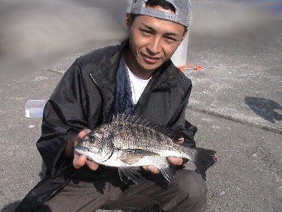 �P���W���[����̐V�L�^