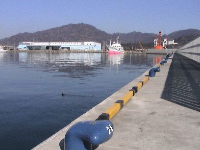 �ނ��E�E�B