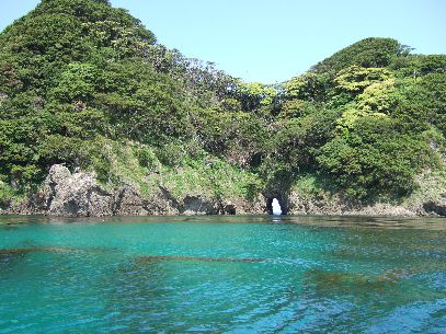 �썑���v�킹��ނ��