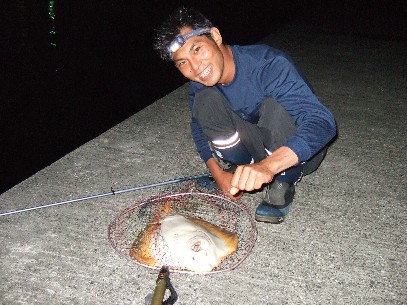 �i�I�L�̏��G�C