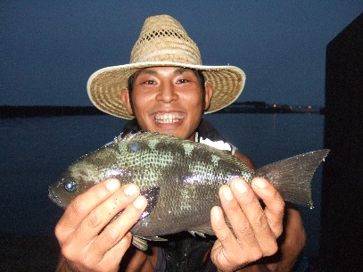 �{�����|�C���g�H