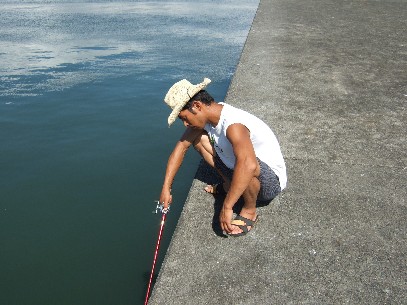 �u�ނ�˂��`�E�E�v