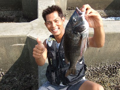 �W�A�C����