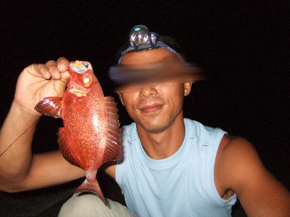 �L���g�L�_�C�f�d�s