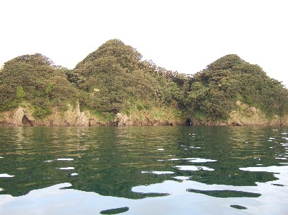 ���ނ̗\���E�E