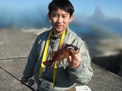 �^�C�\�����ǌ^�f�d�s