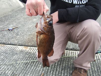 �f�n�N�̐V�L�^