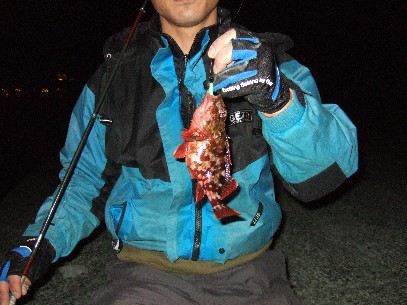 �^���a�ŏ��J�T�S