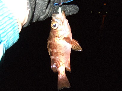 �^���a�ŏ����o��