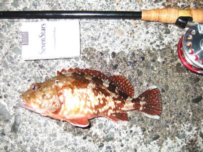 ���x���W�B��