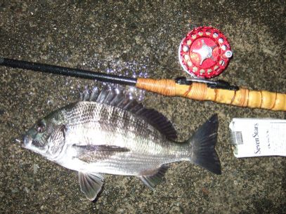 �B�e�ナ���[�X�ς�