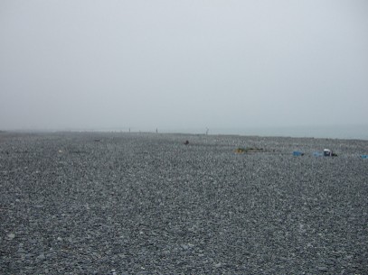 �v�X�̃{�E�Y OTL