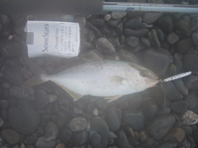 ���^�������N��