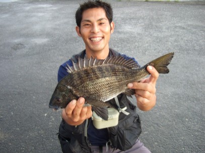 �i�I�L�̂P����