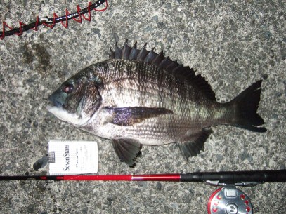 �ŋ߈��肵�Ă���l��