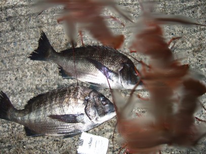 �����̃L�[�v�������E�E