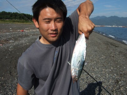 �^�C�\���̃\�[�_�K�c�I