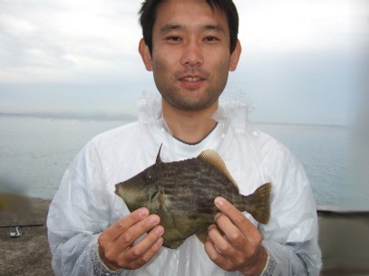 �J���n�M�f�d�s