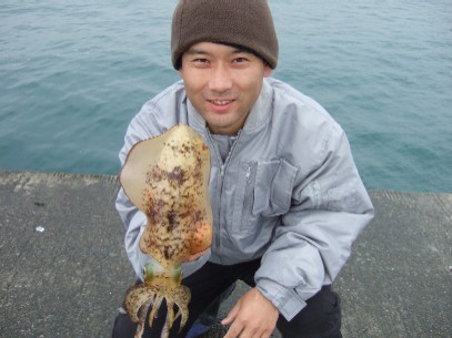 �����{���f�d�s