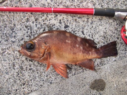 �S�����Ԃ�