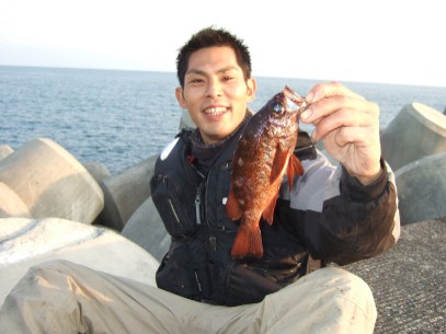 �Q�T�����f�d�s