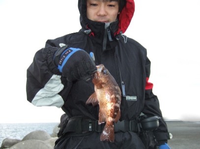 ���N�Ԃ�̃��o��