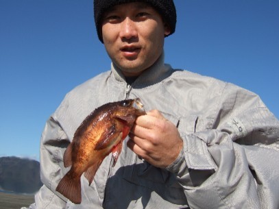 �悤�₭�ނꂽ