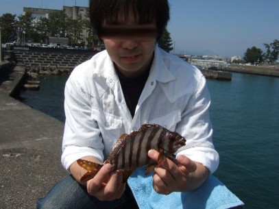 �~�n���ɗ����{���P����