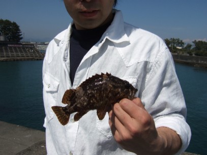 �悤�₭�{���f�d�s