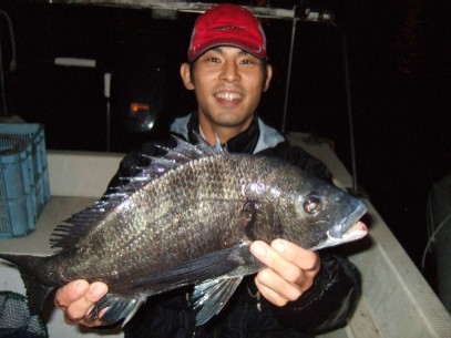 �T�P�����f�d�s