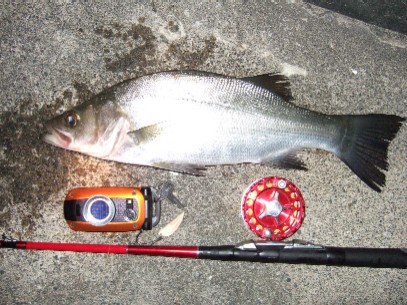 �P�N�Ԃ�̃q���X�Y�L