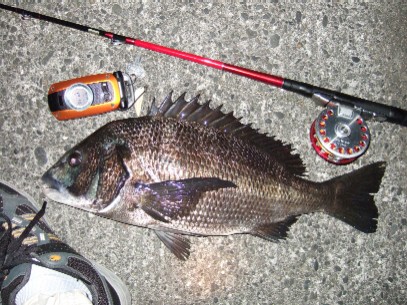 ���I����L�^�T�C�Y�X�V