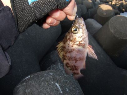 ���N�Ō�̃��o��