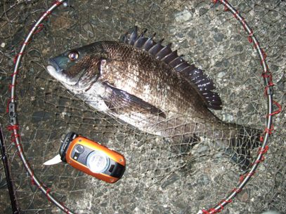 ����S�O����