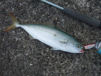 ���N�P����