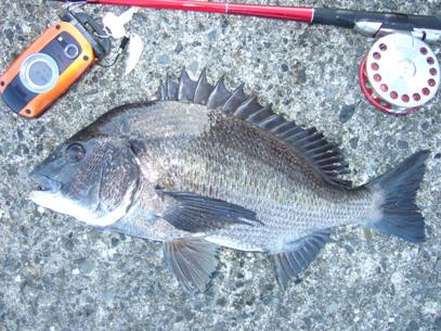 �����̗��Ƃ����݂ɂ�