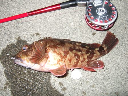 �J�T�S�Q�W����