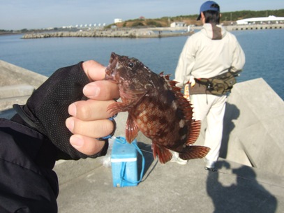 �{���f�d�s