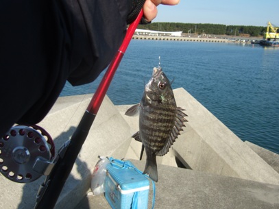 ����̗c��