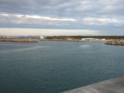 ���߂Ă̕��c�`