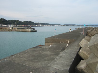 ���߂Ă̍�䕽�c�`