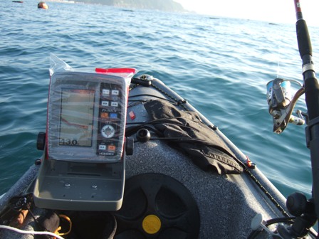 ���߂Ă̋��T